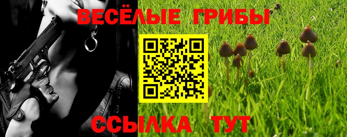 Псилоцибиновые грибы GOLDEN TEACHER Белебей